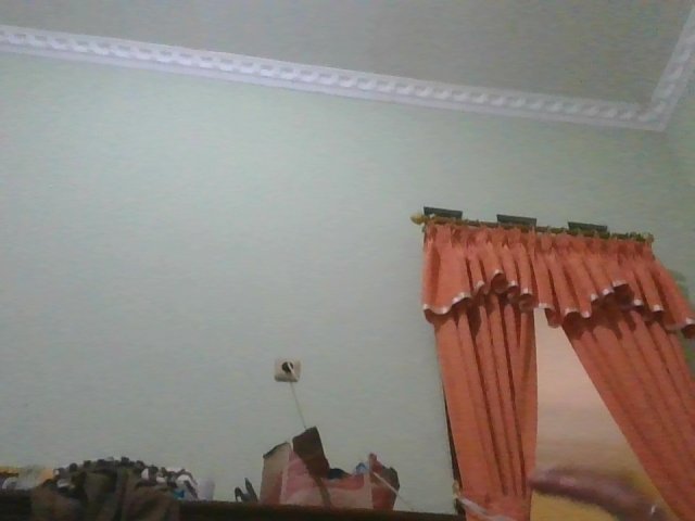 pulang
